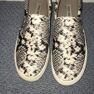 Snakeskin Steve Madden slip on sneakers